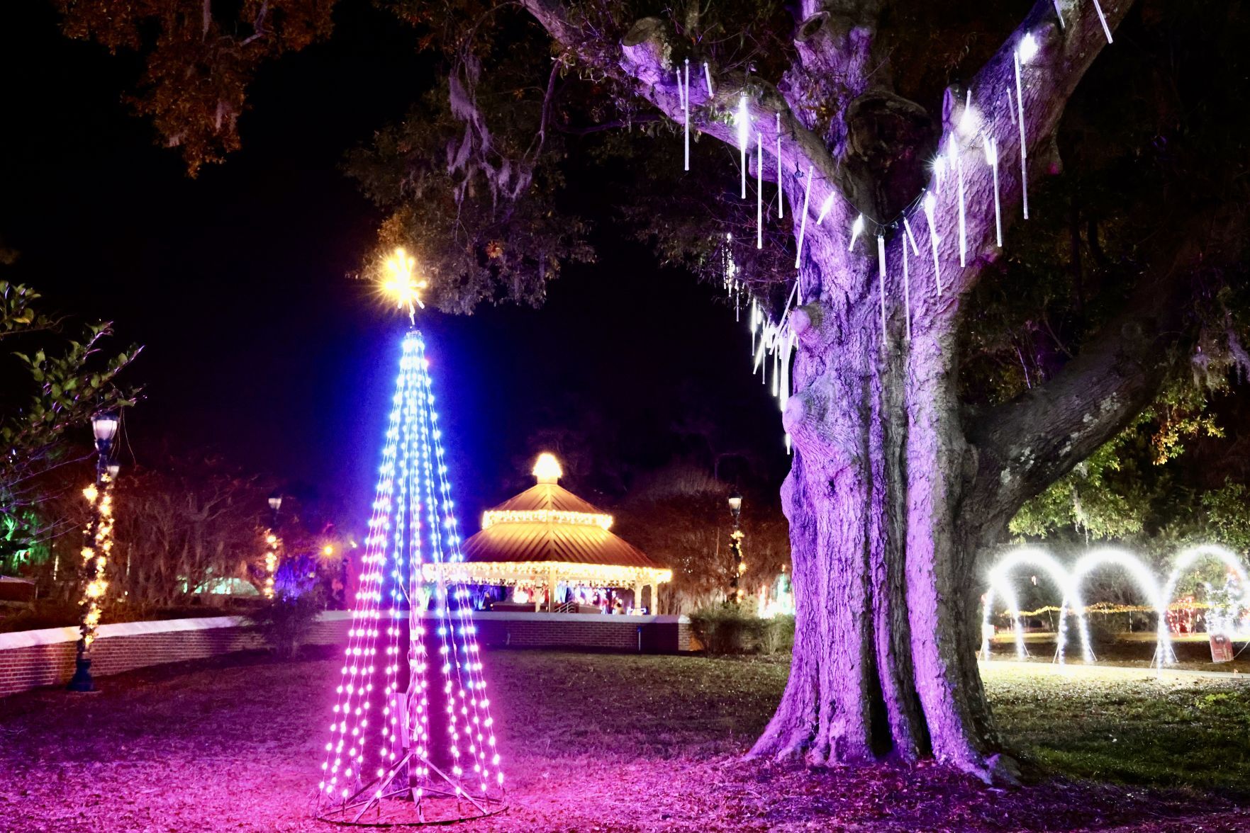 Orangeburg Christmas Lights